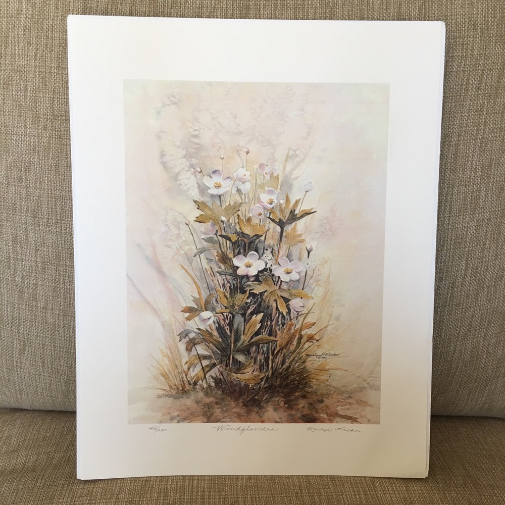 “Windflowers" print, 11 x 14